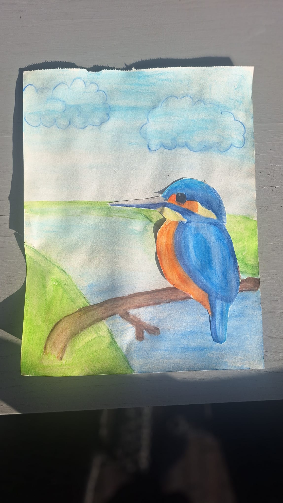 IJsvogel tekening door Arianne